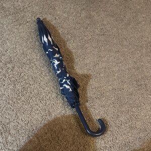 Little boys dinosaur shape umbrella